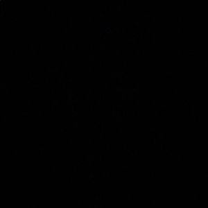 Meet your Posher, Selene